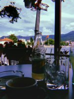 20190713_020749_0-01.jpeg