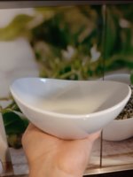 20191008_132917.jpg