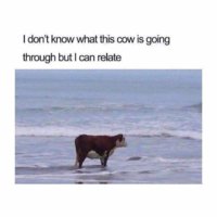 FB_IMG_1567840875889.jpg