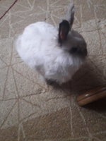 20191010_144301.jpg