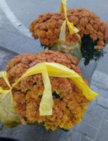 IMG_20191010_002854.jpg
