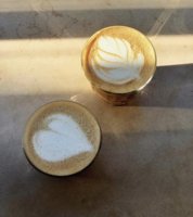 F2C8226A-5373-447C-9F1D-7084DC7B60ED.jpeg