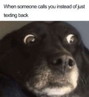 cc237553fb43e89a044e3ba4be3889a8.jpg