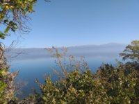 20191013_150321.jpg