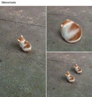 FB_IMG_1571421876323.jpg