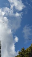 20191019_120138.jpg