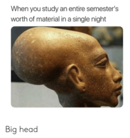 received_2329534017295932.png