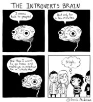 the-introverts-brain-meme.jpg
