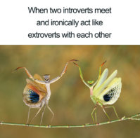 meme_3_lines_700-5bac8a9dd6e33__700.jpg