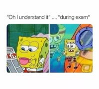 FB_IMG_1571939544041.jpg