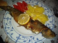 IMG_20191027_173759527.jpg