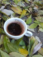 IMG_20191019_124115.jpg