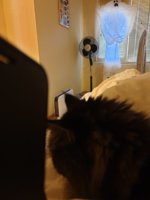 20191030_090657.jpg
