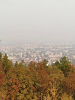 IMG_20191030_134248.jpg