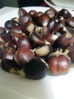 thumbnail (1).jpg