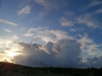 IMG_20191030_162931.jpg