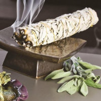 white-sage-wildcrafted-smudge-stick_01.jpg