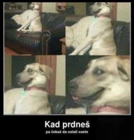 FB_IMG_1572538661354.jpg