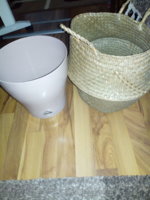 IMG_20191030_150421.jpg