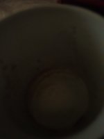 20191103_091508.jpg