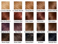 palette.jpeg