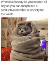 FB_IMG_1573064067514.jpg