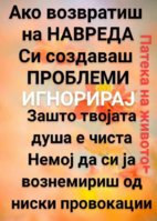 FB_IMG_1573235727215.jpg