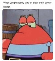 FB_IMG_1573244249972.jpg