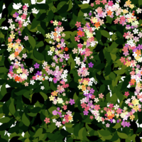 Untitled3_20191110032544.png