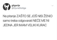 20191111_154353.jpg