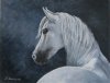 equine_art_white_horse_by_della_burgus__c3207f151e9fe5ba05a0d344e3e05423.jpg