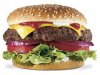 Hamburger_Photo_1.jpg