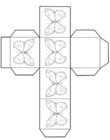 ButterflyBoxBW670.png