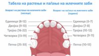 FB_IMG_1573763600921.jpg