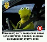 FB_IMG_1573811866717.jpg