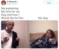 the-funniest-memes-of-2019-so-far-40-photos-25-14.jpg
