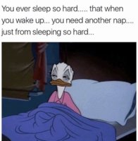 00exNBd.jpg