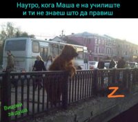 DCE9A679-33D1-491F-BE01-D82452D5E9BF.jpeg