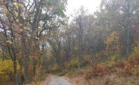20191116_183722.jpg