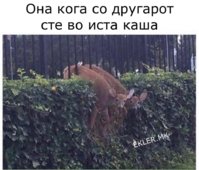 FE6BD15D-BA14-4753-BB85-93A36A69EA2D.jpeg