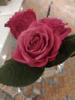 IMG_20191118_211926.jpg