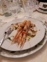 20190113_134910.jpg