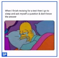 FB_IMG_1574248879504.jpg