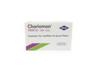 28_Choriomon5000-2.jpg