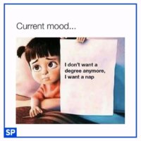 FB_IMG_1574337694695.jpg
