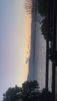 57AB02FD-C082-47FC-B750-FC31DA5CAED6.png