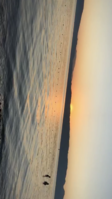 371868EE-CA7B-4B56-938A-971BE1FDB6B1.png