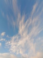 IMG_20191127_164746.jpg