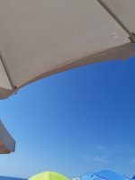 20190901_105012.jpg