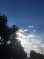 20181001_161759.jpg